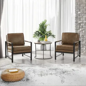 Accent Chair Set Upholstered Retro Arm Chair with Metal Legs