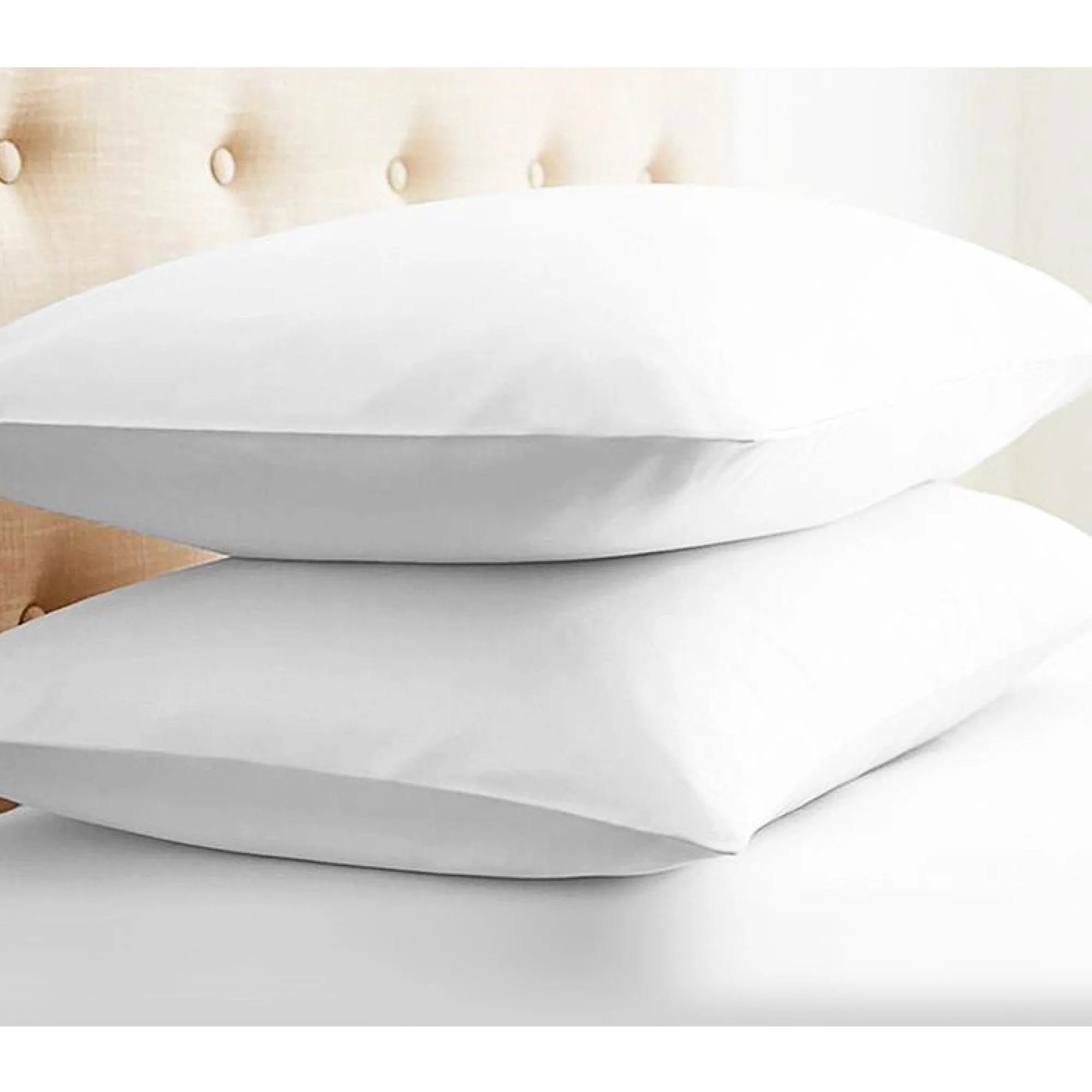 Lauren Taylor - Down & Feather Pillows | 2-Pack