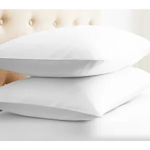 Lauren Taylor - Down & Feather Pillows | 2-Pack