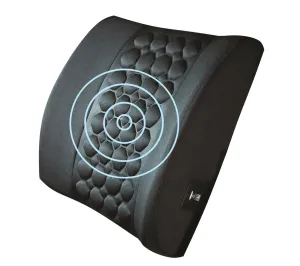 Putnams Massage Back Support Cushion