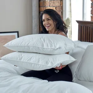 Wash   Bounce Pillows